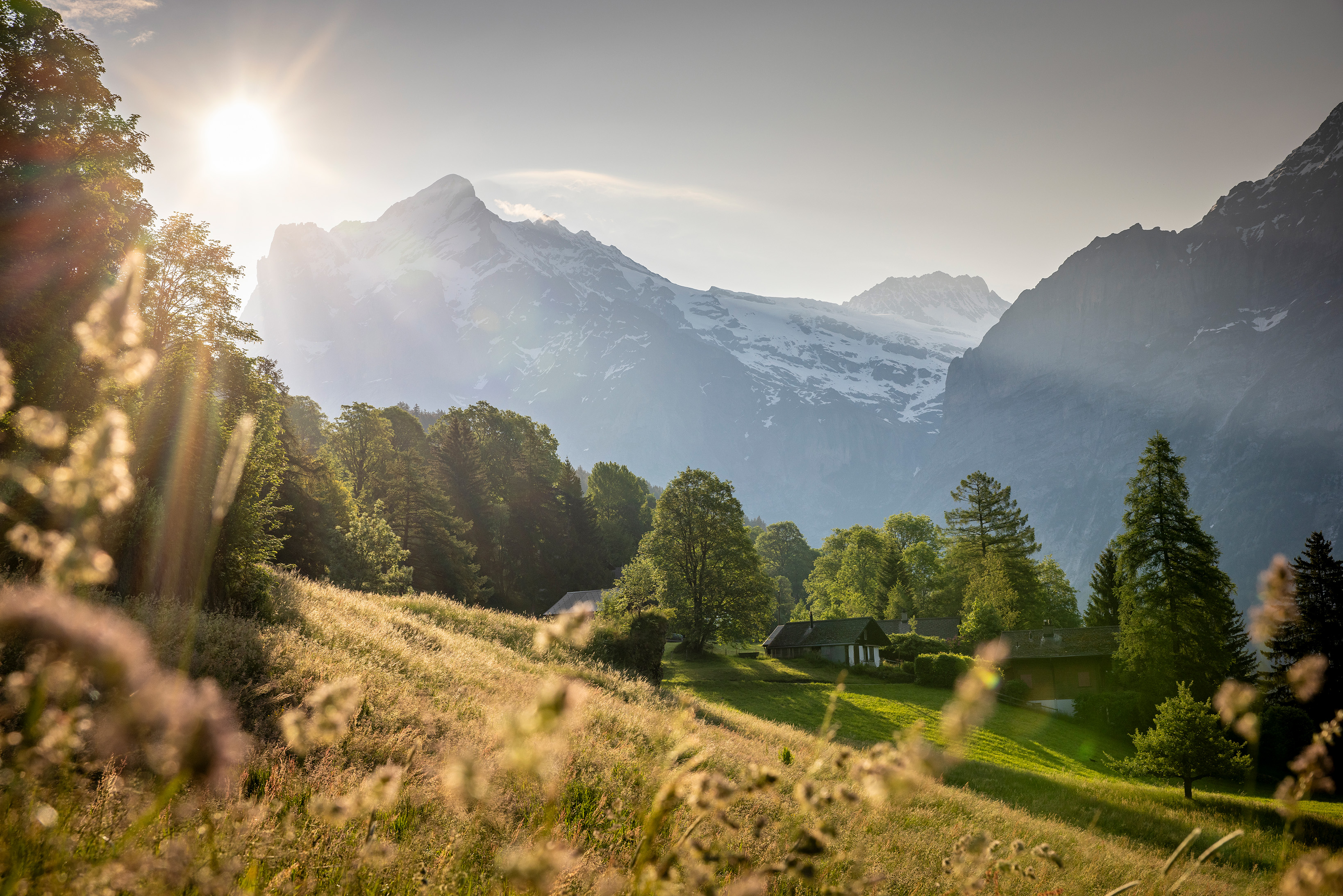 © Jungfrau Region Tourismus AG / Urheber David Birri Image