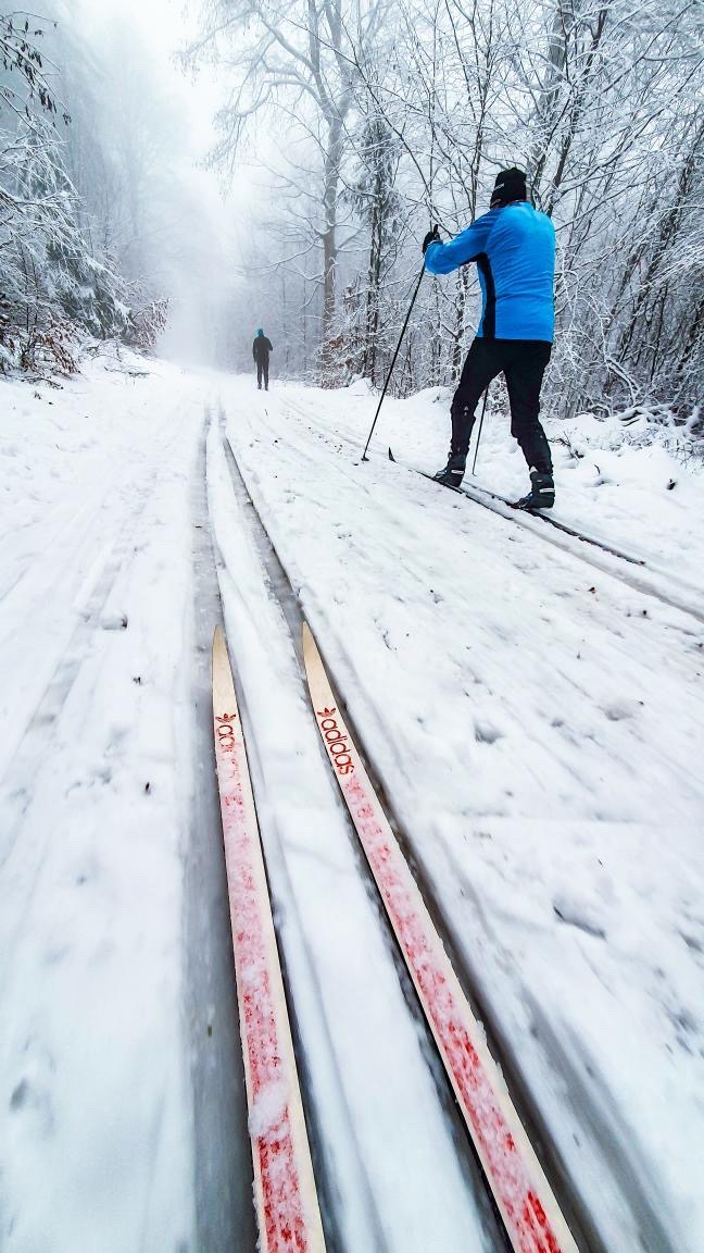 ©Marius Meisinger - SC Ockstadt Image